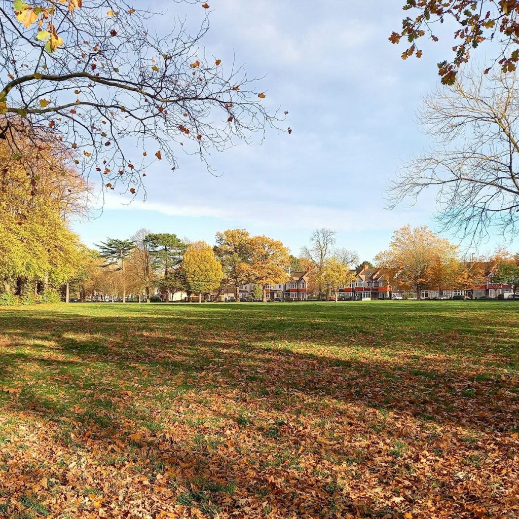 View of a field in Croydon