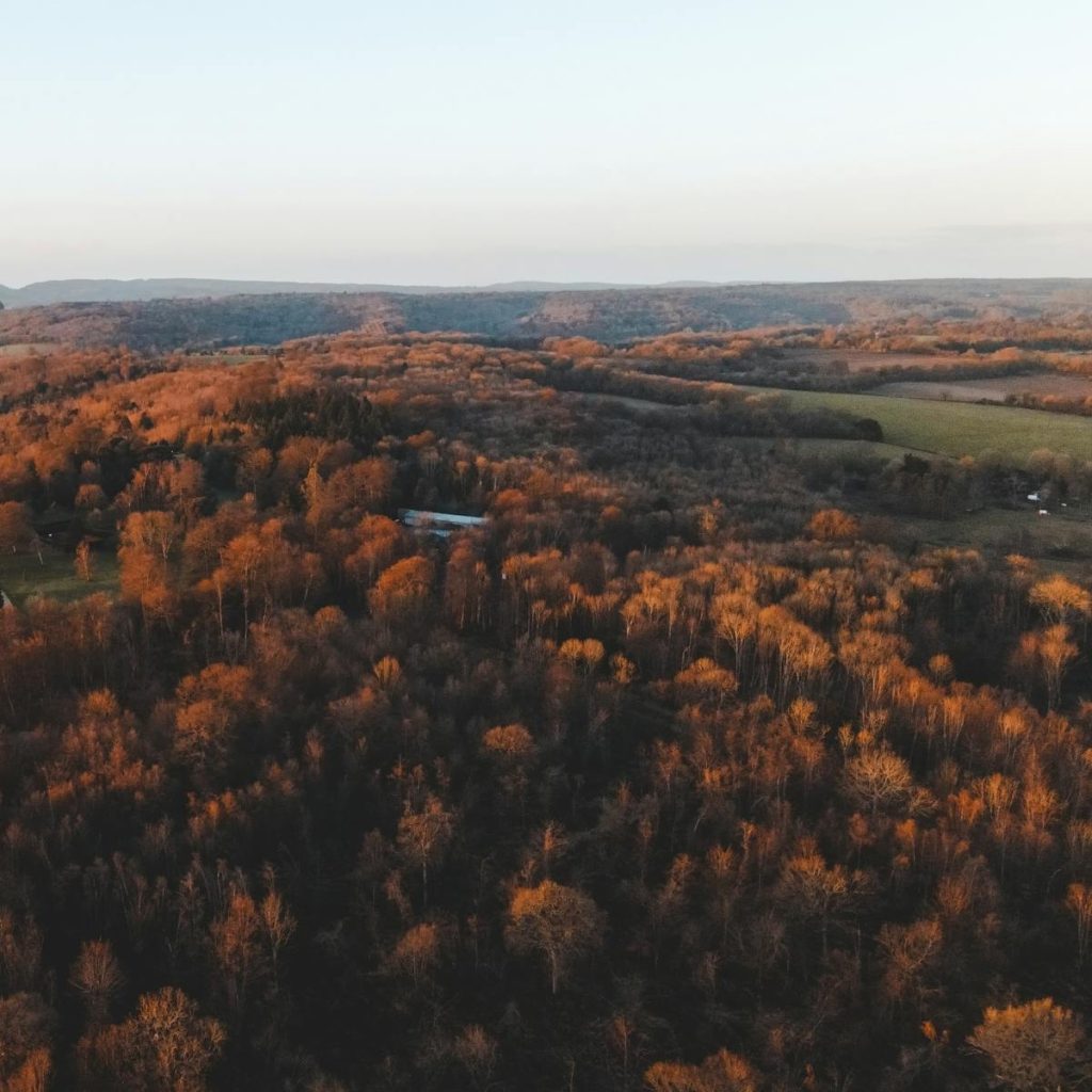 Aerial view of Surrey